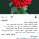 نمونه ارسال افزونه اینستاگرام خودکار