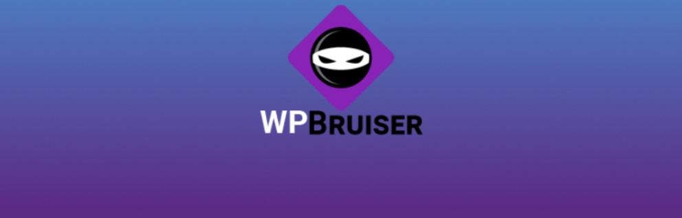 جلوگیری از اسپم در وردپرس WPBruiser